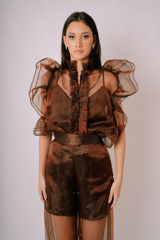 Organza Ruffle top