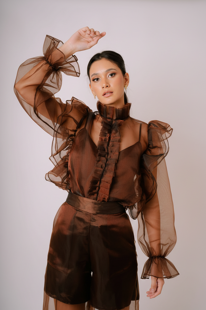 Organza Ruffle top